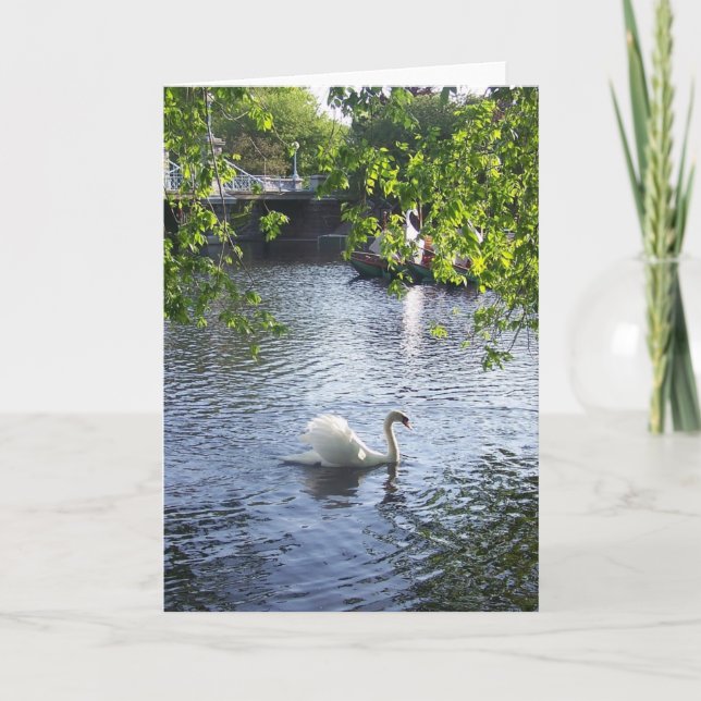 Tarjeta Belleza debajo de las ramas (Anverso)