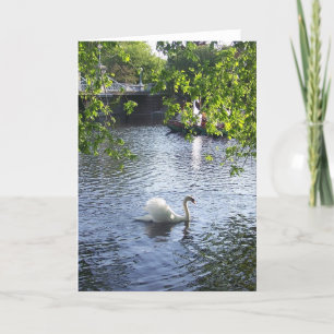 Tarjeta Belleza debajo de las ramas