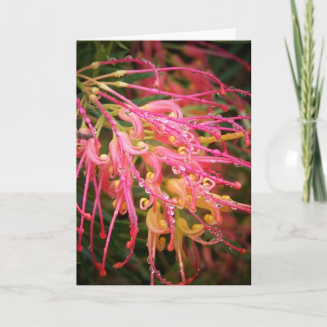 Tarjeta Belleza después de la lluvia. (Anverso)