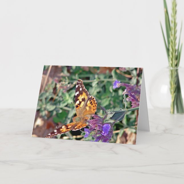 Tarjeta Belleza en la naturaleza (Anverso)