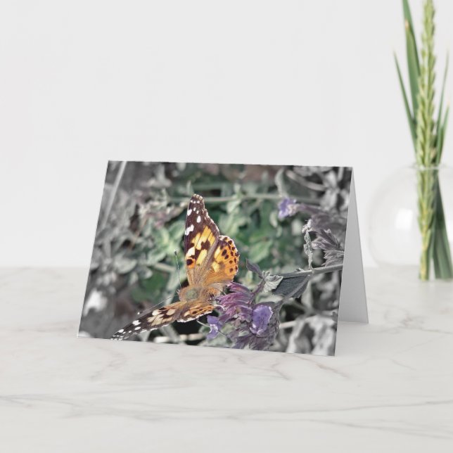 Tarjeta Belleza en la naturaleza (Anverso)