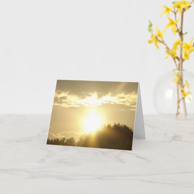 Tarjeta Belleza En Un Amanecer (flor amarilla)