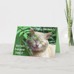 Tarjeta Belleza - Primerización De La Bestia El Rezagado -