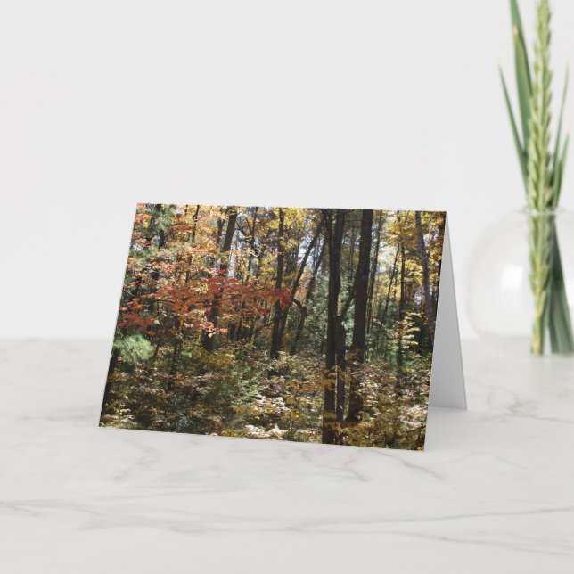 Tarjeta Belleza profunda de maderas (Anverso)