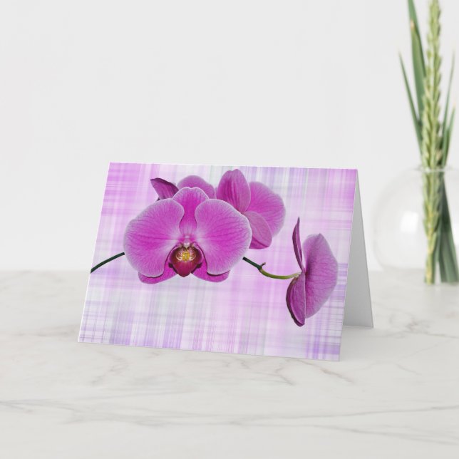 Tarjeta Belleza tropical (Anverso)