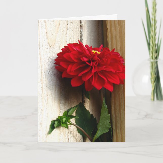 Tarjeta Belleza y verdad (Anverso)