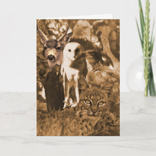 Tarjeta Bellos animales salvajes en blanco