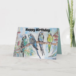 Tarjeta Bellos Budgerigars Budgies y Gum Blossom Card