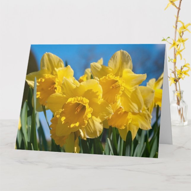 Tarjeta Bellos Daffodis Amarillos (flor amarilla)