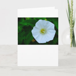 Tarjeta Bendición de la naturaleza, carta