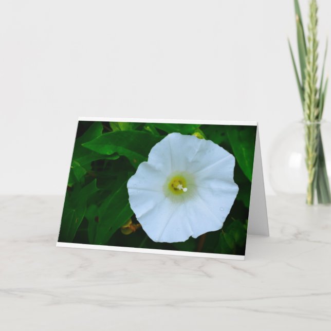 Tarjeta Bendición de la naturaleza, carta (Anverso)