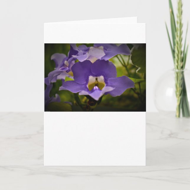 Tarjeta Bendición de la naturaleza, carta (Anverso)