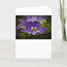 Tarjeta Bendición de la naturaleza, carta