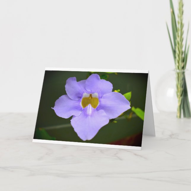 Tarjeta Bendición de la naturaleza, carta (Anverso)