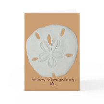 Bendiciones del verdadero dólar de arena de los am