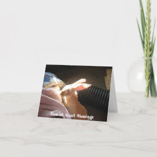 Tarjeta Bendiciones gigantes flamencas Notecards