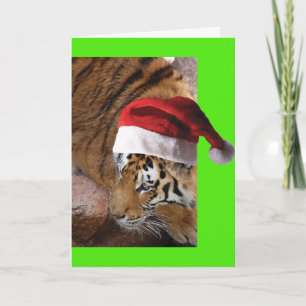Tarjeta Bengal Tiger Santa Claus