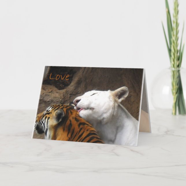 Tarjeta Bengala White Tiger Ama Aniversario de cumpleaños  (Anverso)