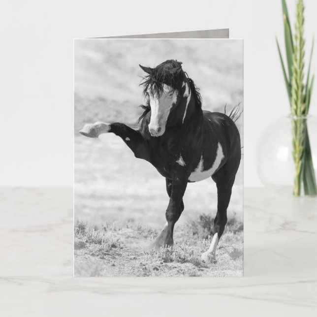 Tarjeta Benson saca la carta de saludo a caballo salvaje (Anverso)