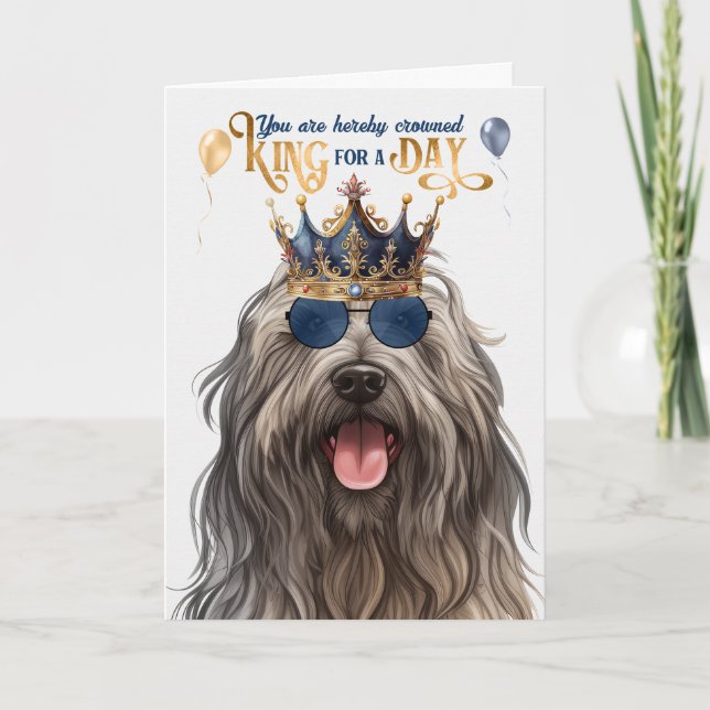Tarjeta Bergamasco Rey del perro por día cumpleaños divert (Anverso)