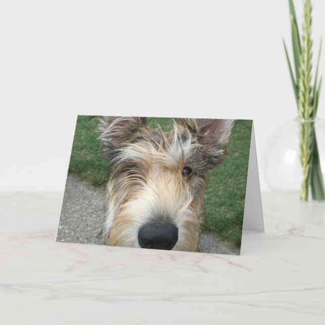 Tarjeta Berger de Picard (Anverso)