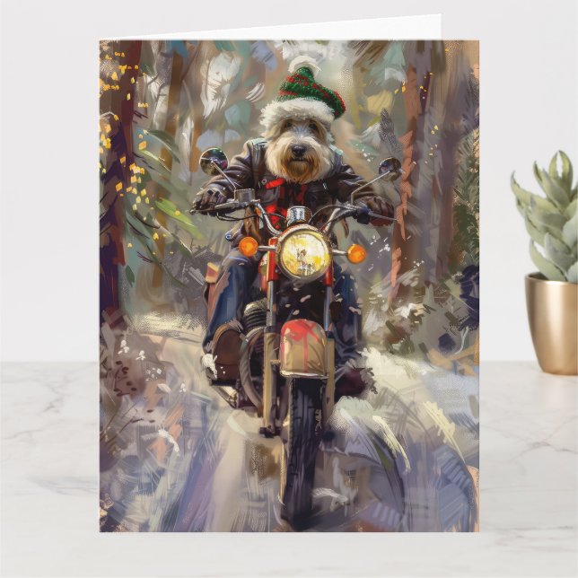 Tarjeta Bernedoodle Dog Riding Motorcycle Christmas (Planta pequeña)