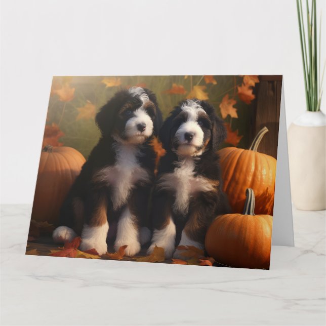 Tarjeta Bernedoodle Puppy Autumn Delight Pumpkin (Anverso)
