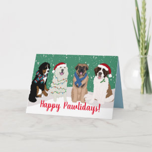 Tarjeta Bernese Leonberger Pyrenees St Bernard