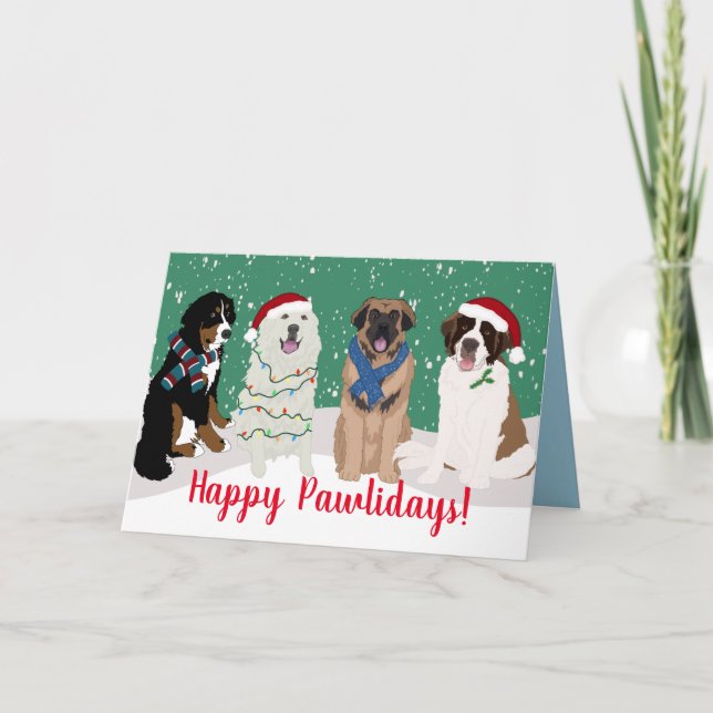 Tarjeta Bernese Leonberger Pyrenees St Bernard (Anverso)