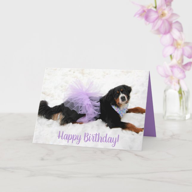 Tarjeta Bernese Mountain Dog Birthday (Orquídea)
