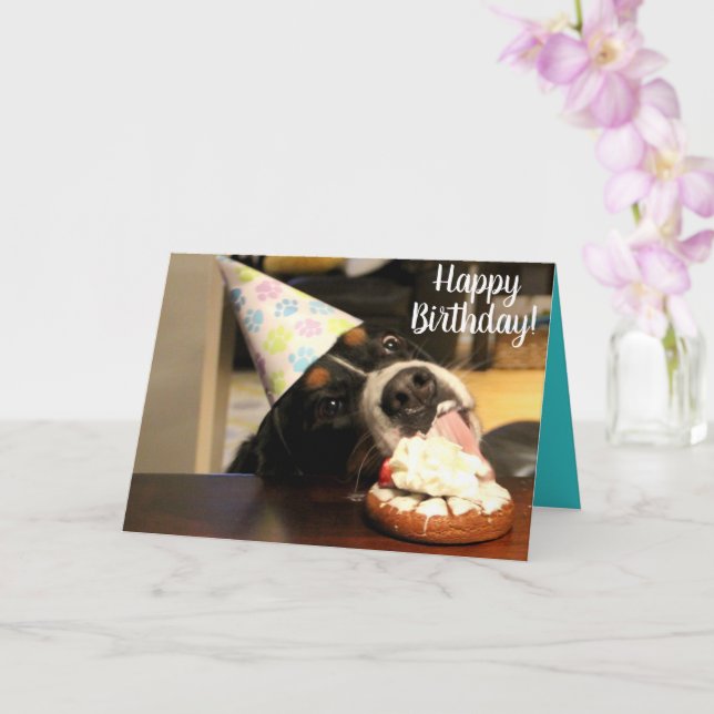Tarjeta Bernese Mountain Dog Birthday (Orquídea)