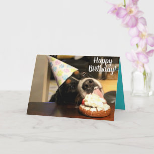 Tarjeta Bernese Mountain Dog Birthday
