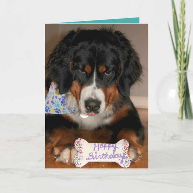 Tarjeta Bernese Mountain Dog Birthday (Anverso)