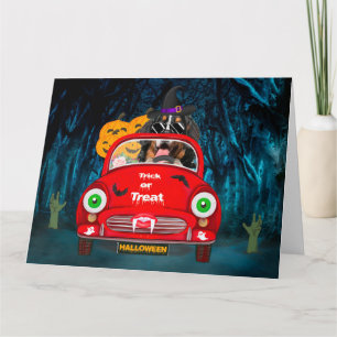 Tarjeta Bernese Mountain Dog Driing Car Sasuy Halloween