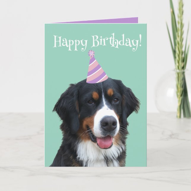 Tarjeta Bernese Mountain Dog Puppy Birday (Anverso)