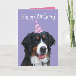 Tarjeta Bernese Mountain Dog Puppy Birday