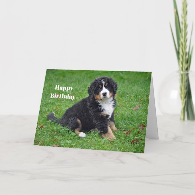 Tarjeta Bernese Mountain Dog Puppy Photo Birday (Anverso)