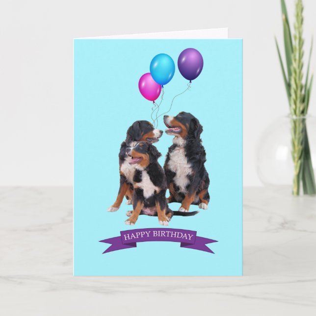 Tarjeta Bernese Mountain Dogs Happy Birthday Greeting Card (Anverso)
