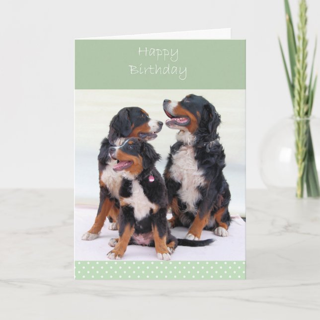 Tarjeta Bernese Mountain Dogs Happy Birthday Greeting Card (Anverso)