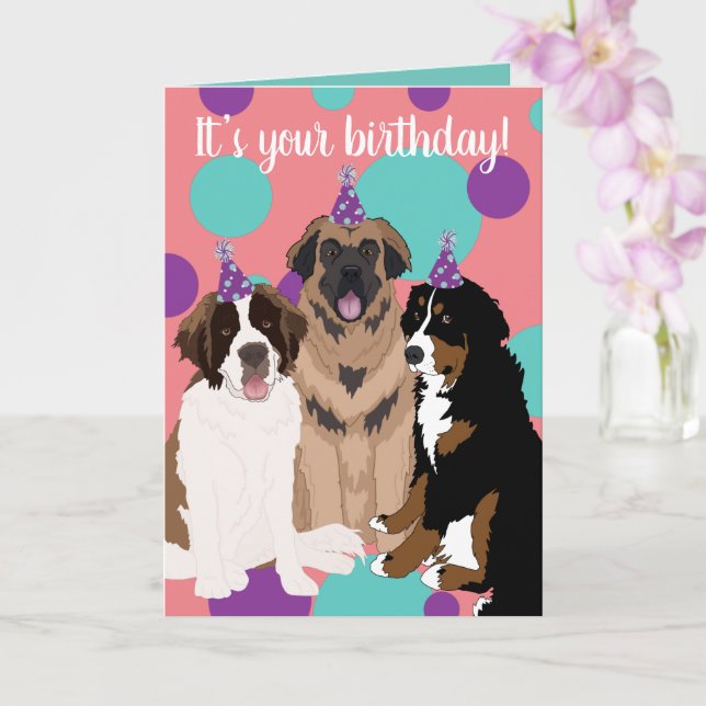 Tarjeta Bernese, San Bernardo, cumpleaños de Leonberger (Orquídea)