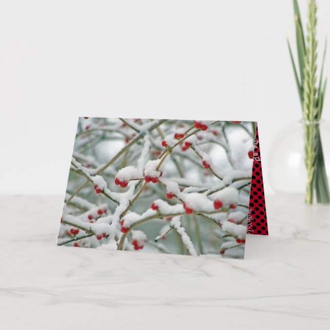 Tarjeta Berries rojos en los Navidades de la nieve (Anverso)