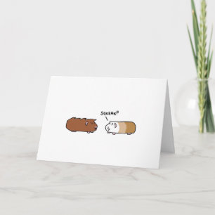 Tarjeta Bert y Seymour