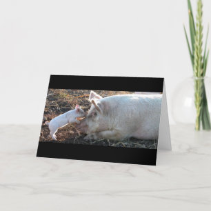 Tarjeta Besar lechón