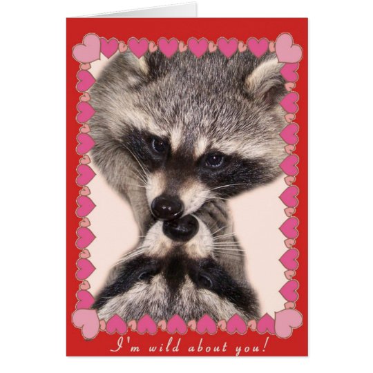 Tarjeta Besar mapaches
