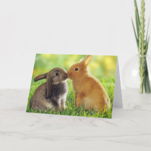 Tarjeta Beso de conejo
