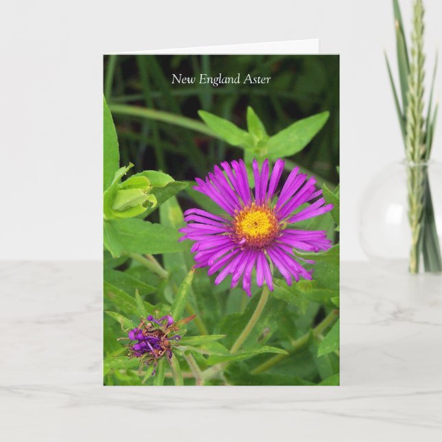 Tarjeta Beso sin abrazo... Cita de jardinería (Anverso)