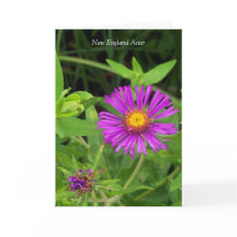 Beso sin abrazo... Cita de jardinería