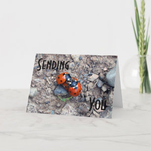 Tarjeta Besos de parásito