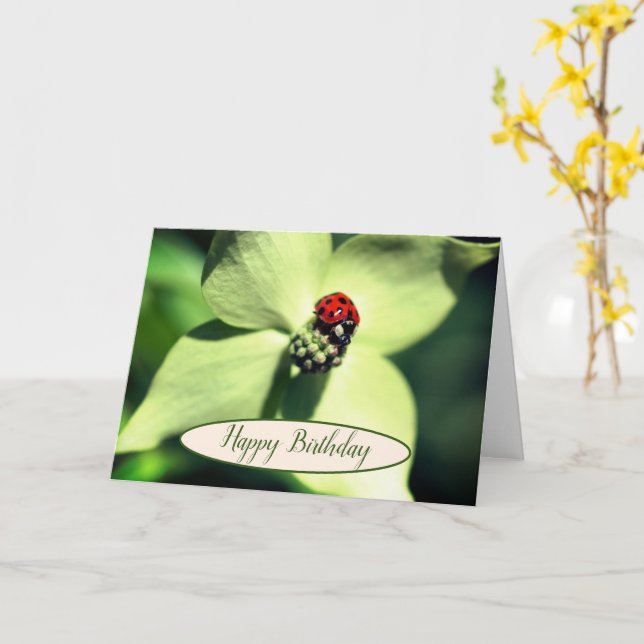 Tarjeta Bicho De Ladybug En Dogwood Flower Birday (flor amarilla)