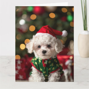 Tarjeta Bichon Frise Elf Puppy Navidades
